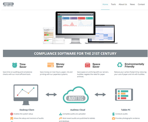 Online auditing system